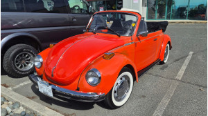 1973 VW Bug