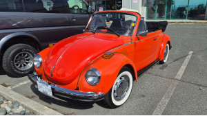 1973 VW Bug