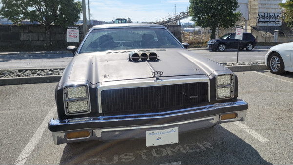 1977 Elcomino 1977 Elcomino